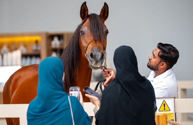 Record-Breaking Success: Inaugural Al Ain Hunting & Equestrian Expo Draws 116,617 Visitors