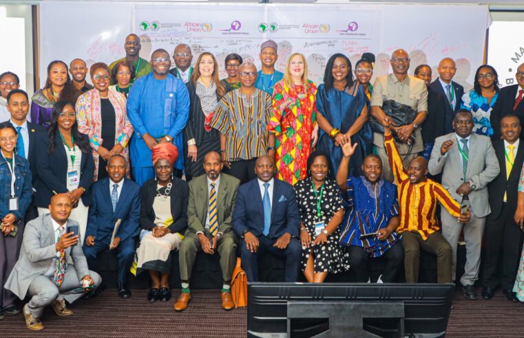 AfDB and AU Renew Push for Visa-Free Africa